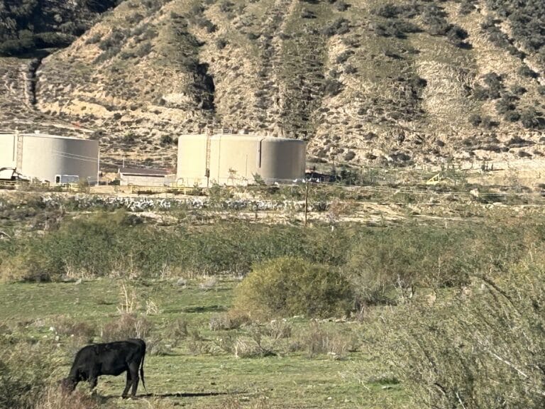 Potrero Canyon construction, photo 2 of 7